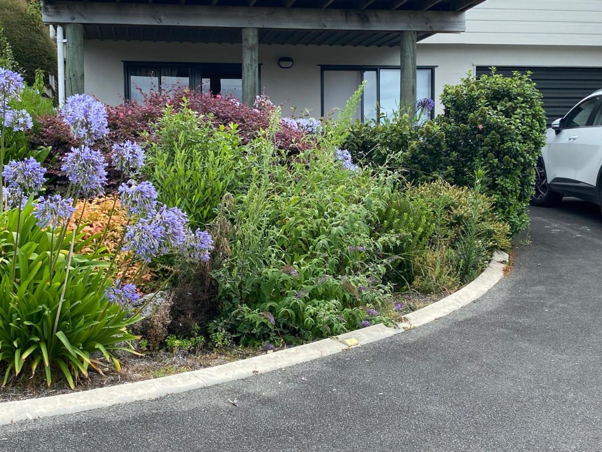 קאיטריטרי Unit 11 Kaiteri Apartments And Holiday Homes מראה חיצוני תמונה